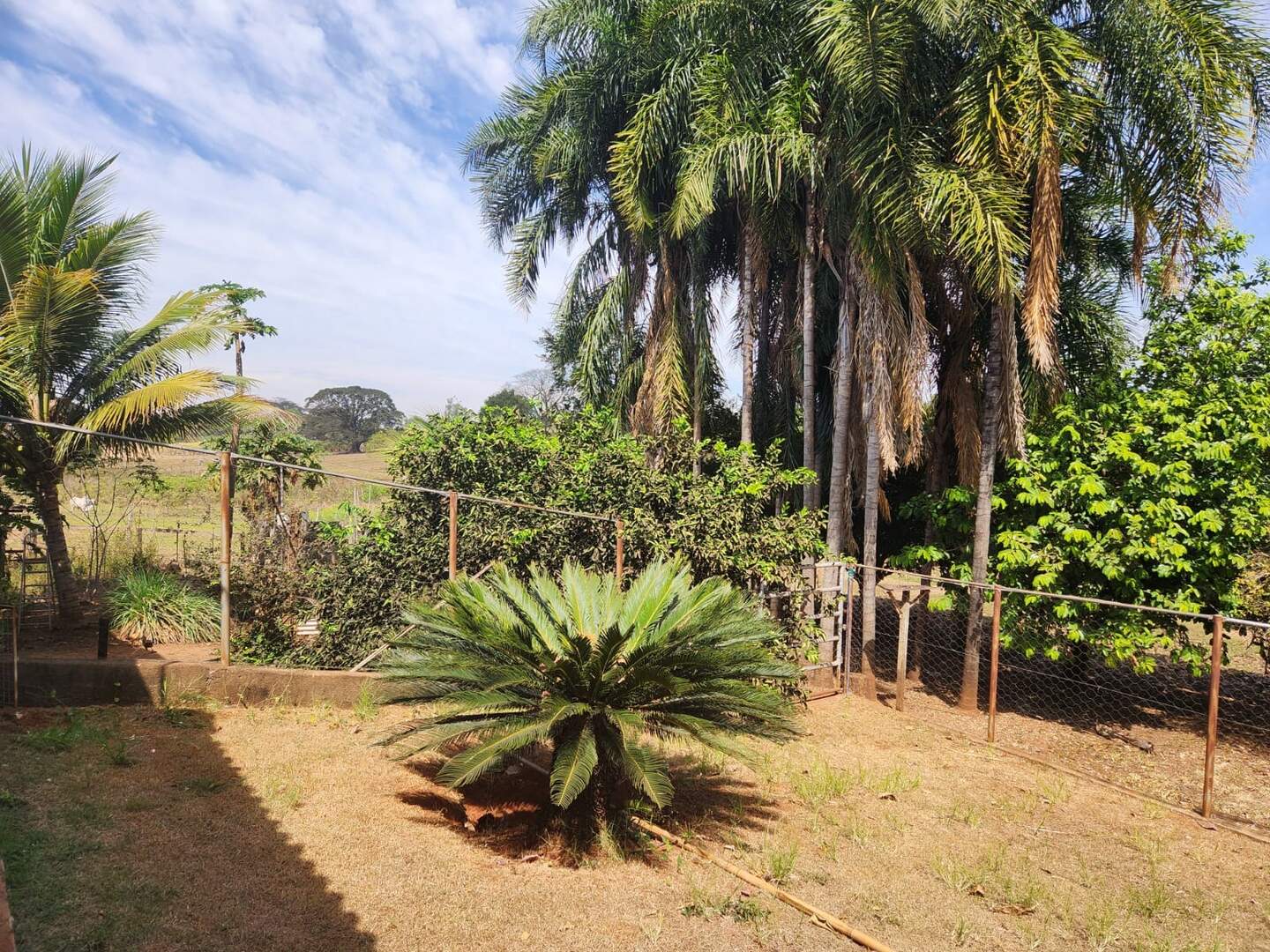 Sítio à venda no ZONA RURAL: 7f9b6765-c708-460b-8b04-3562af423716.jpg