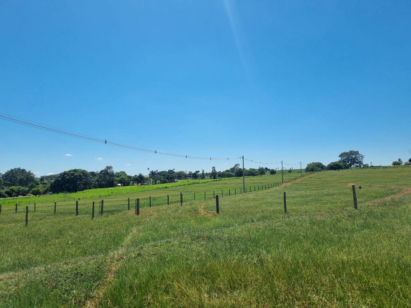 Chácara à venda no Rural: 4a5a5b33-d288-432c-a384-52b978298fa5.jpg