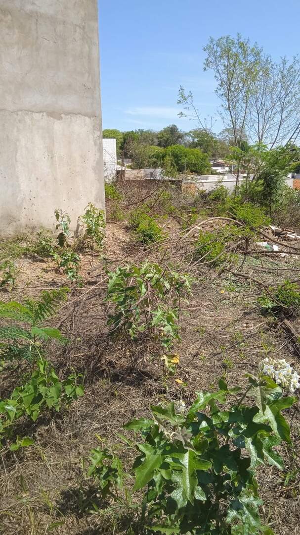Terreno à venda no JARDIM DO BOSQUE: 36e0389f-8fd7-47ae-9845-76ed426748d3.jpg