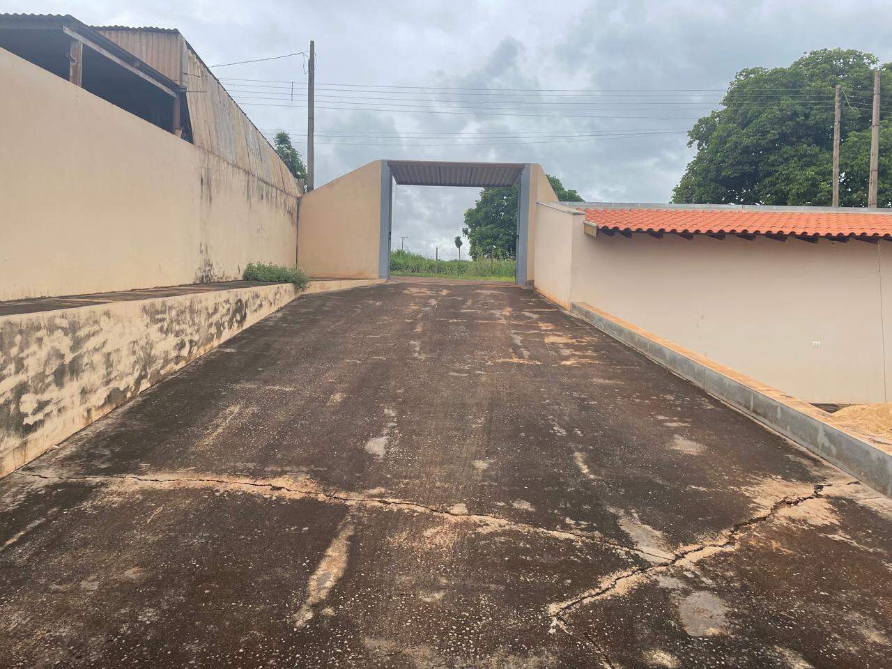 Rancho à venda no Jacema: 7faff0fd-9ba7-45eb-8466-56b24f6407a8.jpg