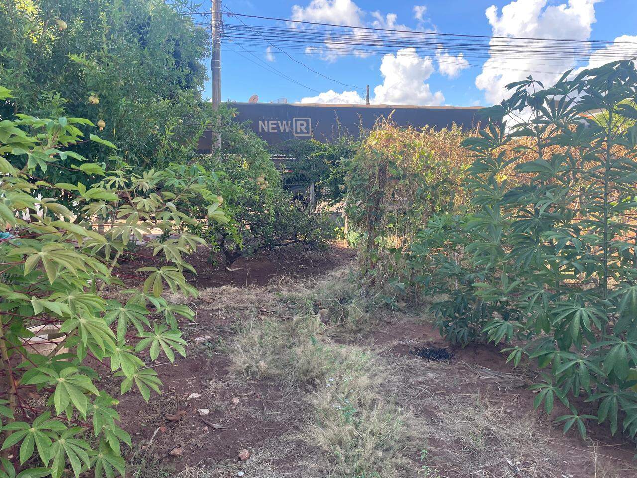 Terreno à venda no JARDIM ESTADOS UNIDOS: ee8b8cff-0383-43ed-bb61-5f6f10791ed1.jpg