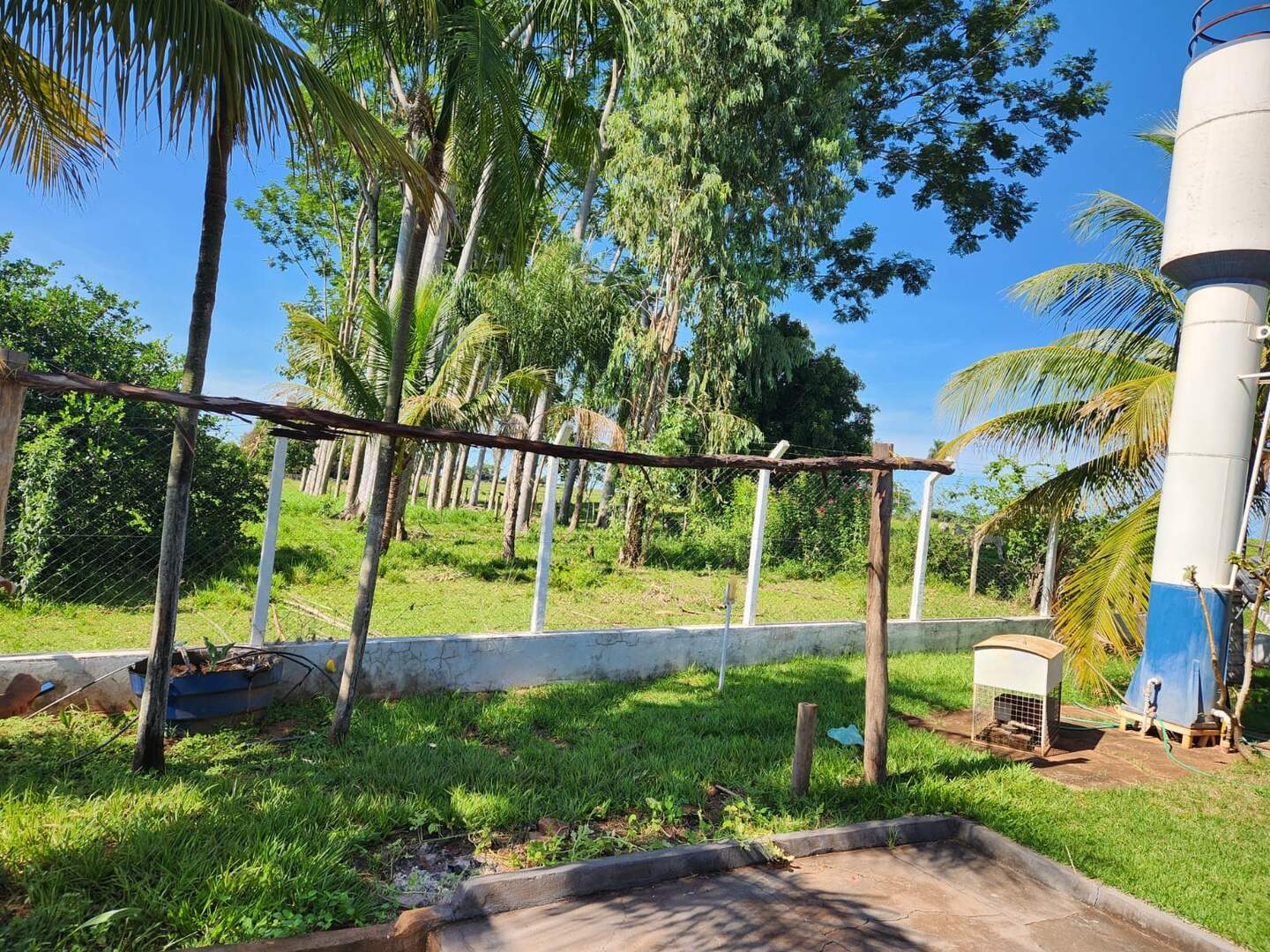 Chácara à venda no Zona Rural: 9d5a8656-f982-4e8f-930a-18cc228ce431.jpg