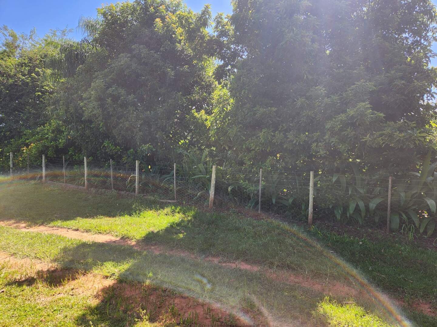 Chácara à venda no Zona Rural: 43fb7a47-1460-48d0-b08e-f7f864f592ea.jpg