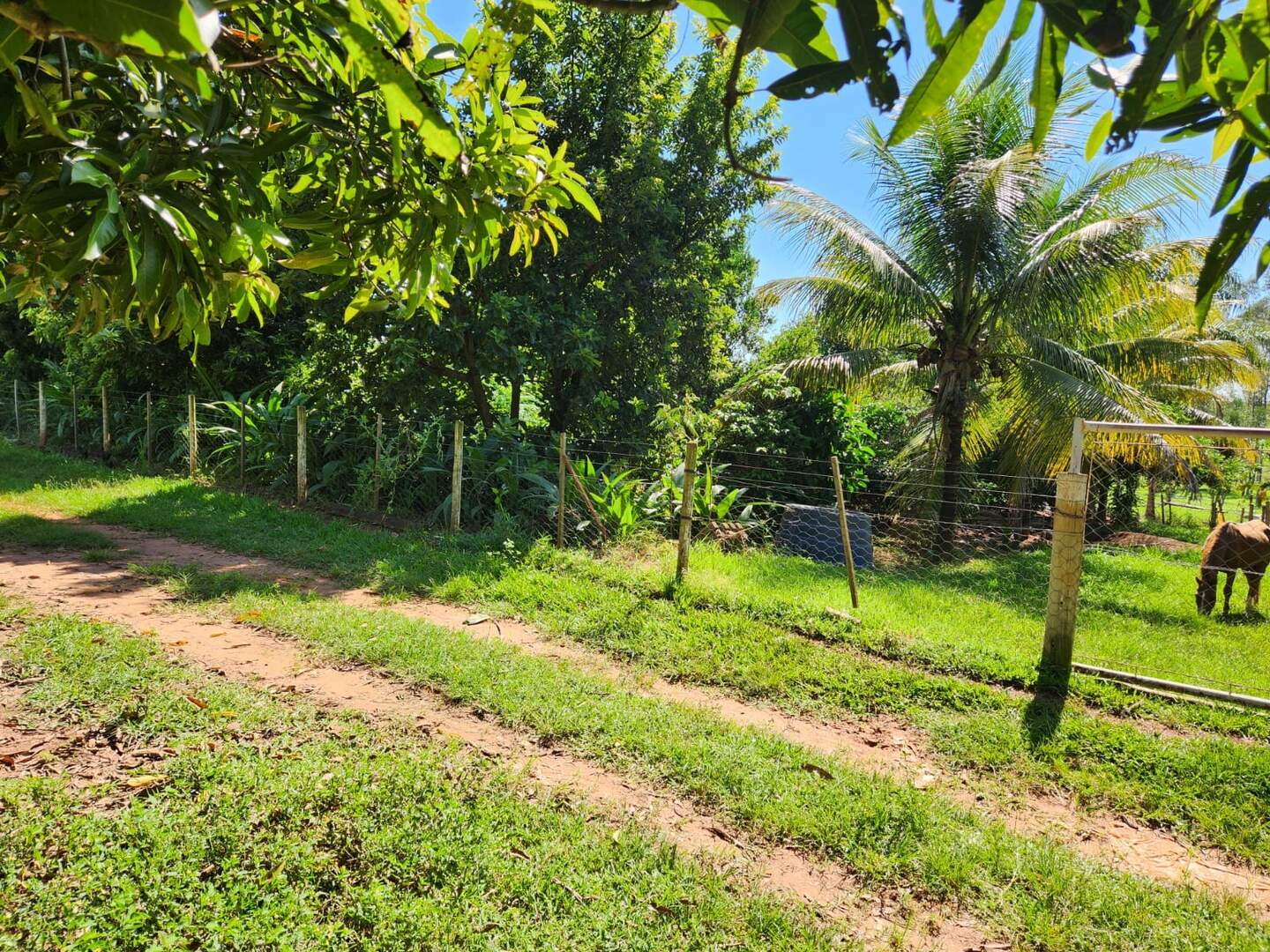 Chácara à venda no Zona Rural: 1ba1574f-7acb-45c9-b1c6-828ec1f70c80.jpg