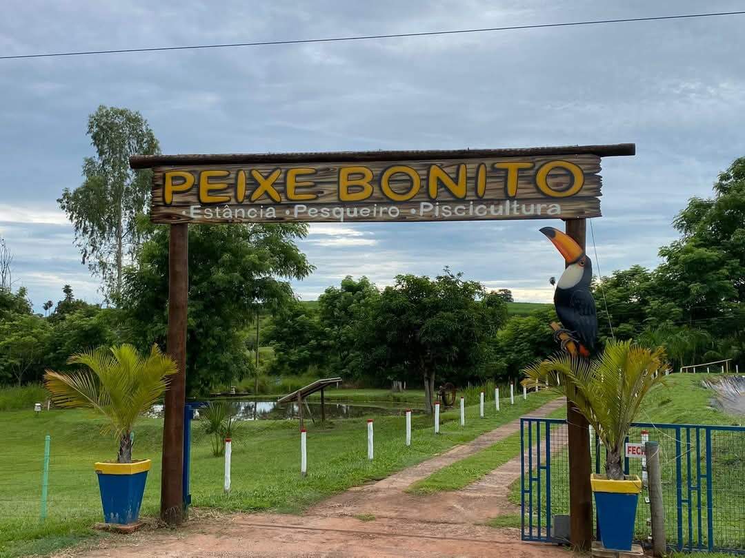 Área à venda no Zona Rural: 4f0fd8a9-daaa-42ba-b2e2-421cc9b73107.jpg