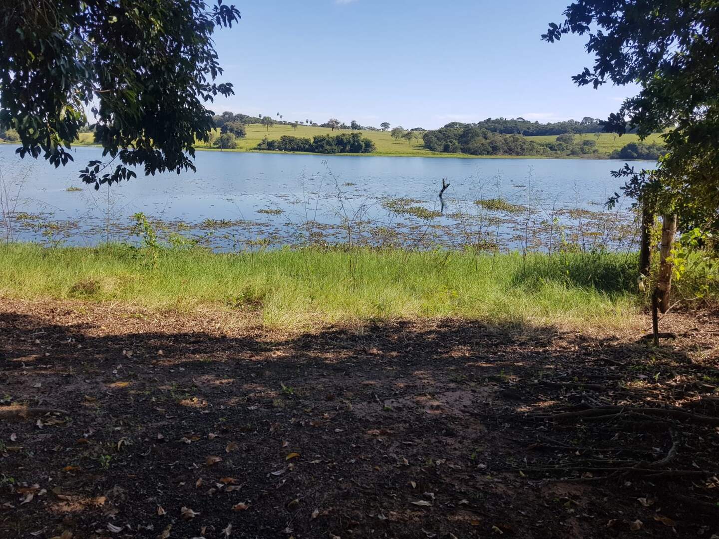 Rancho à venda no Jacema: b76e581c-837c-41c8-a789-58f1fc779611.jpg