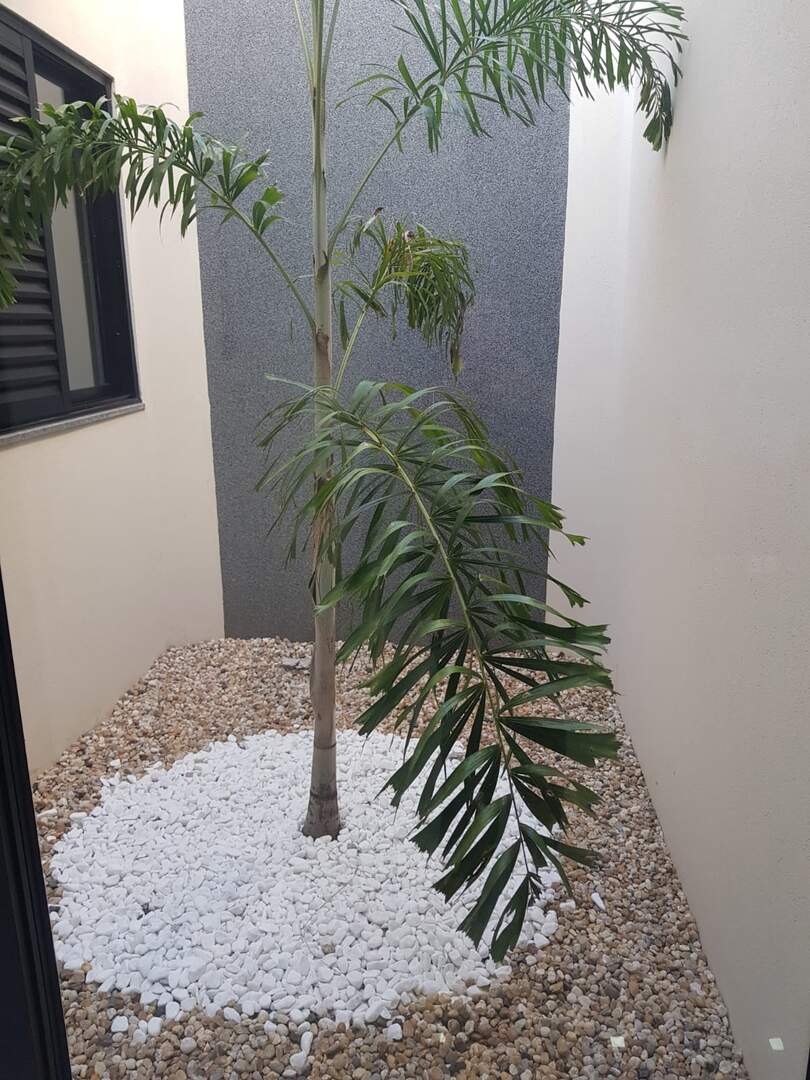 Casa à venda no RESIDENCIAL VILA MARIANA: aefbc935-d5e5-49ca-9e1f-01ac630166eb.jpg