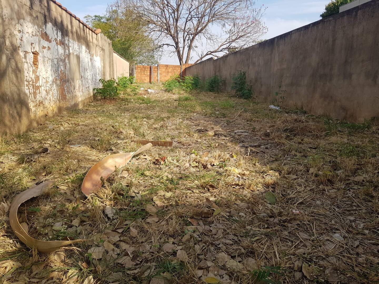 Terreno à venda no SUBIDA PRETA: b5537089-ffd2-438c-a65d-5b81a2a474c5.jpg