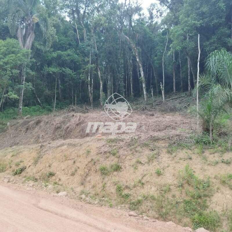 Terreno Rural à venda, Rio Bonito - Rio dos Cedros/SC — foto 4
