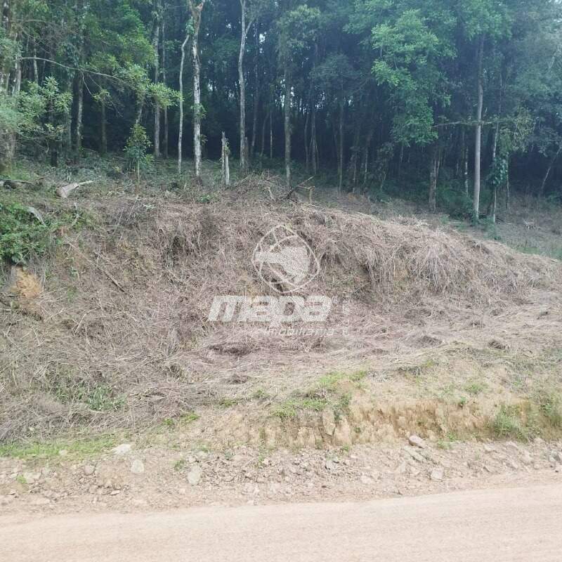 Terreno Rural à venda, Rio Bonito - Rio dos Cedros/SC — foto 3