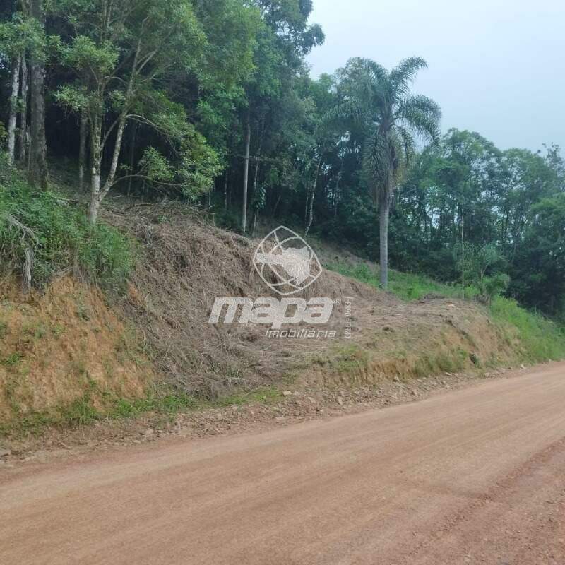 Terreno Rural à venda, Rio Bonito - Rio dos Cedros/SC — foto 2