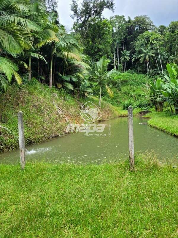 Chácara/Sitio à venda, 2 quartos, Mulde - Indaial/SC — foto 4
