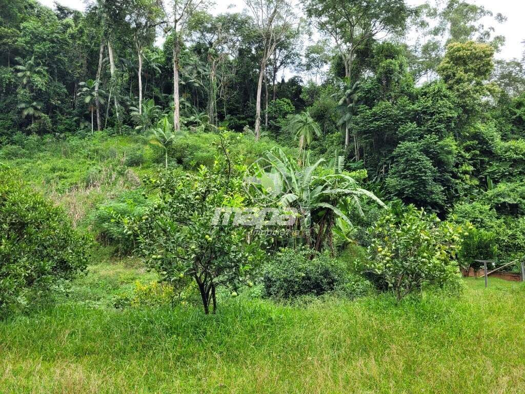Chácara/Sitio à venda, 2 quartos, Mulde - Indaial/SC — foto 2