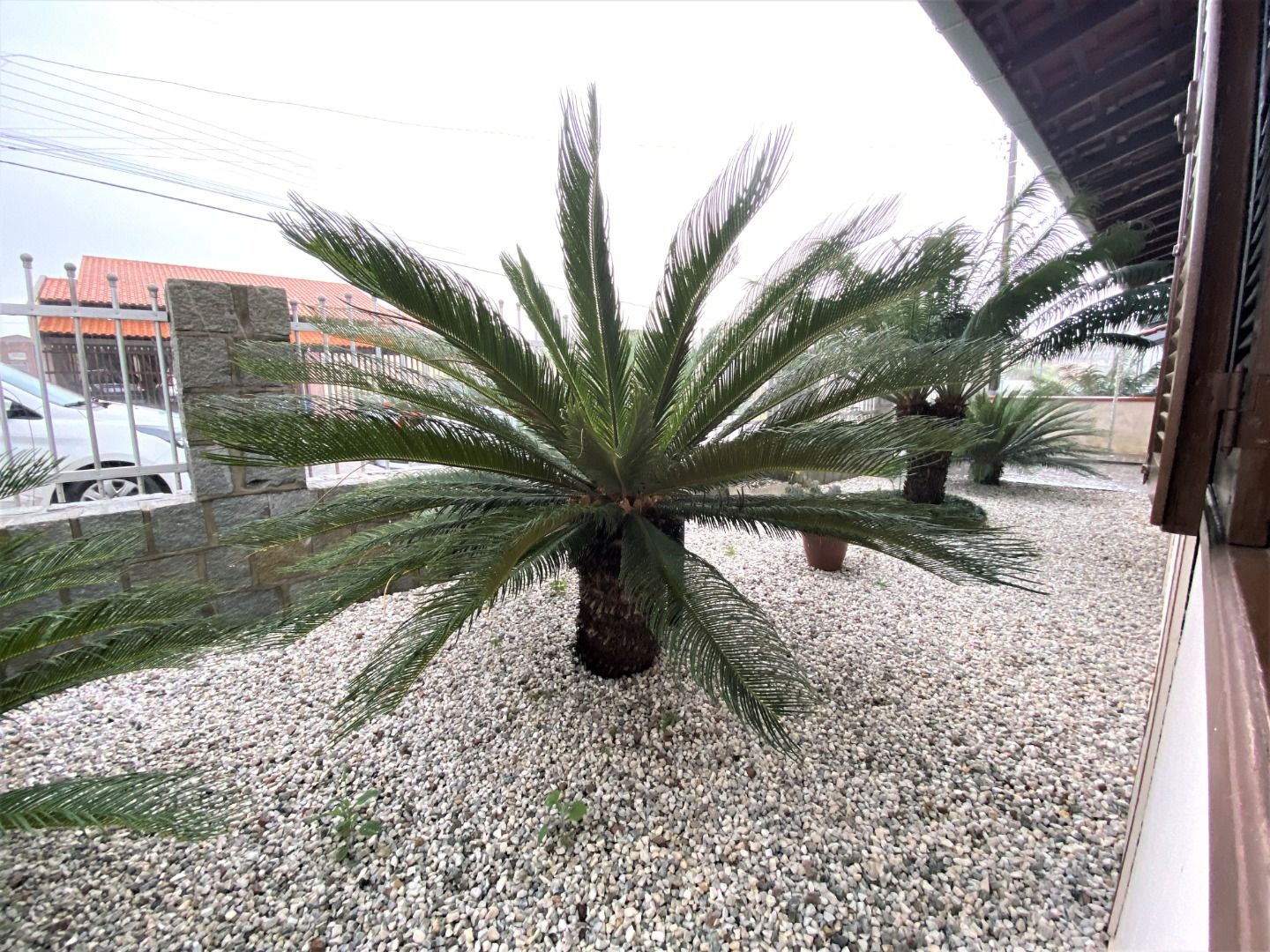 Casa à venda no Limoeiro: 