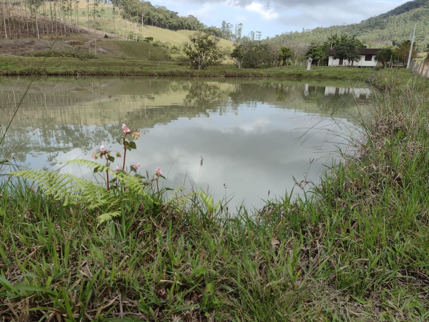 Chácara à venda no Oliveira: 