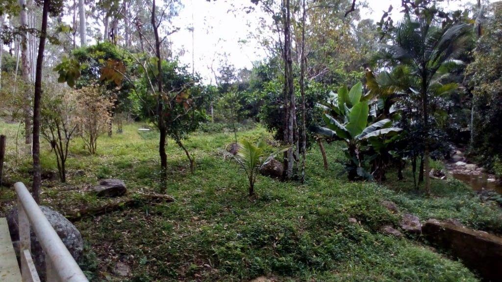 Sítio à venda no Arataca: GgxPzqC7rEKd8fR_U9r3XgyQP2KQjoQa1-Ae4bTooA9z2vHkfSCnumTl0qA1mkLr22gYKhnI-jEqwFyzZ4uCwA9CPrgUTBdK12mDZ92RjQ=s0.jpg