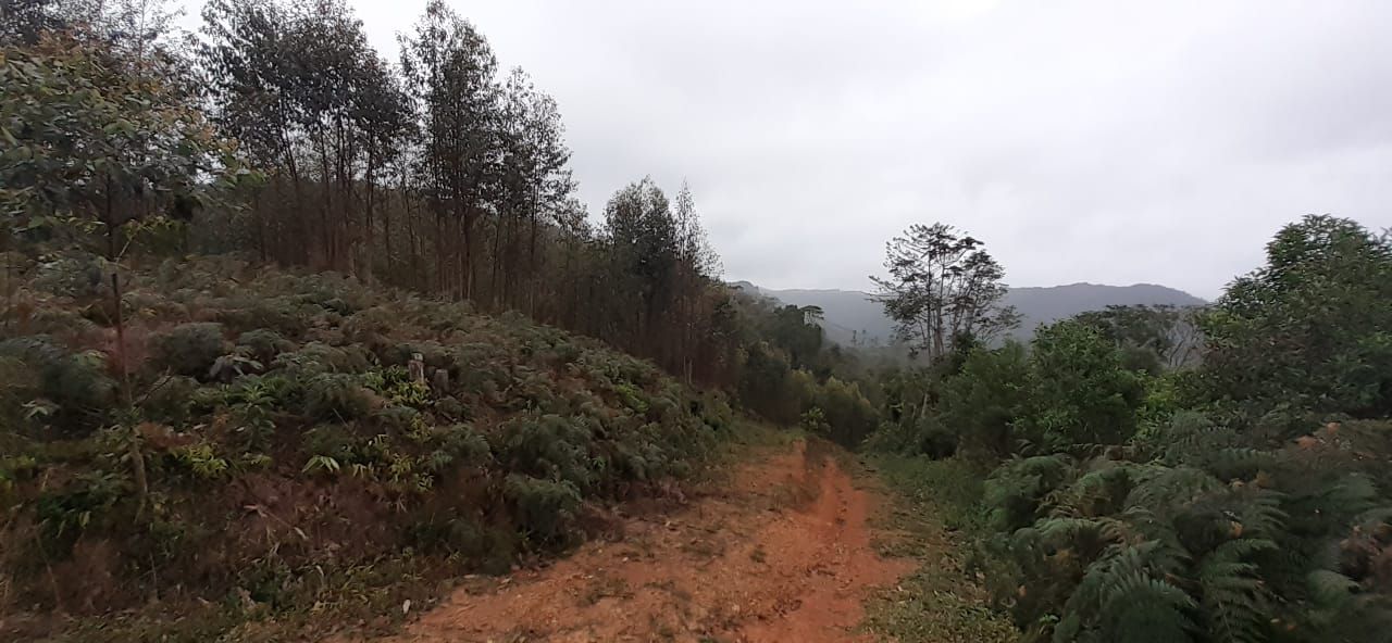 Terreno à venda no Aguas Negras: 