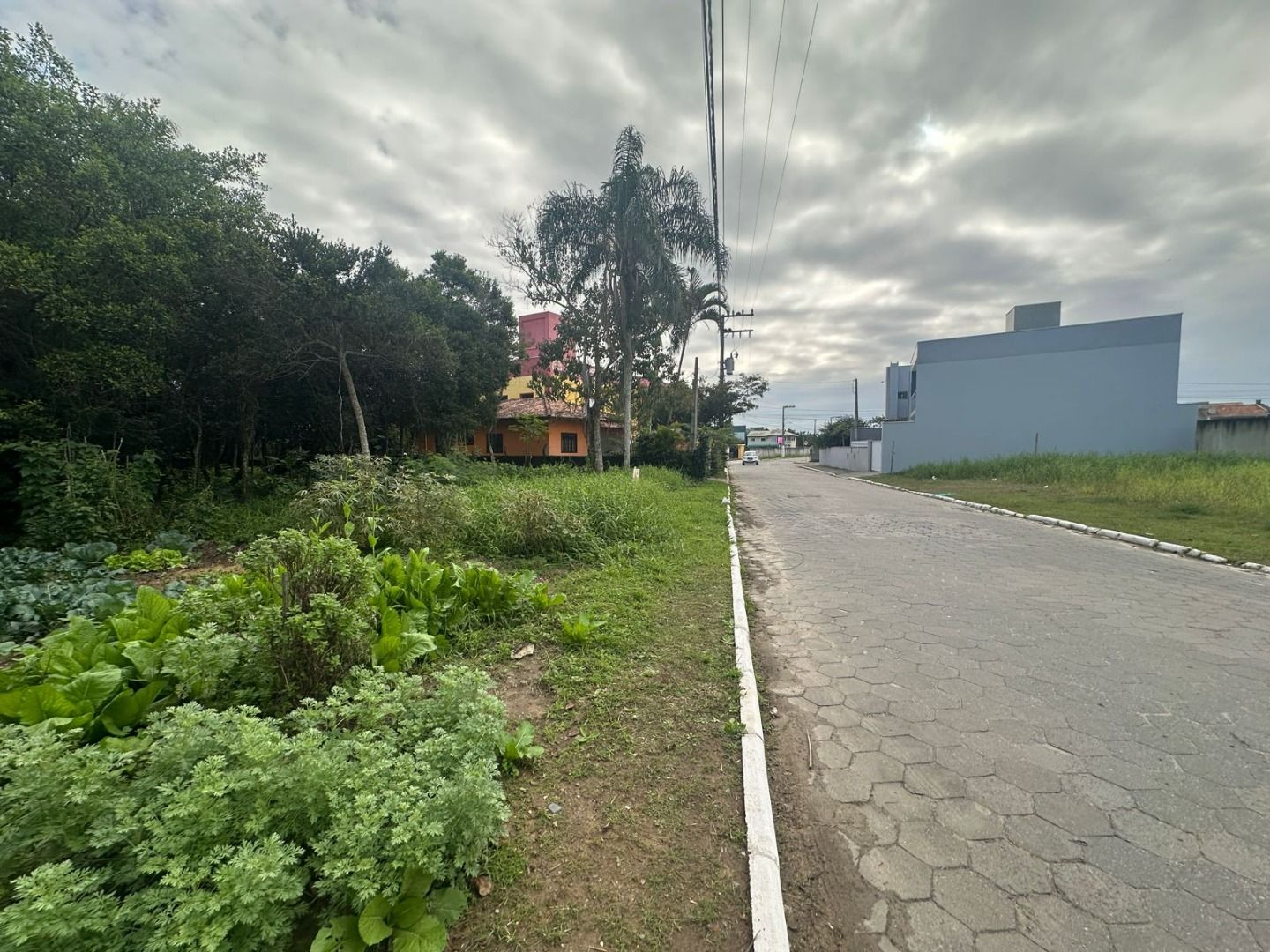 Terreno à venda no Centro: 