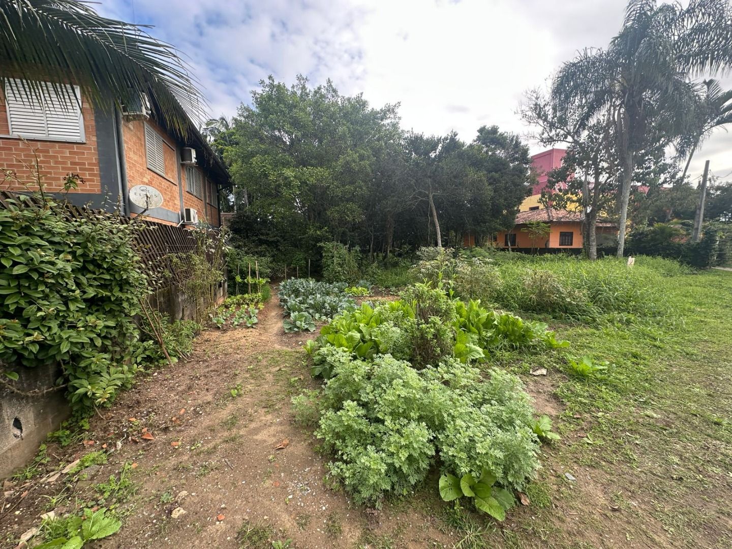 Terreno à venda no Centro: 