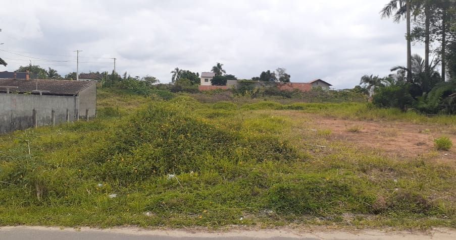 Terreno à venda no Limeira Baixa: 