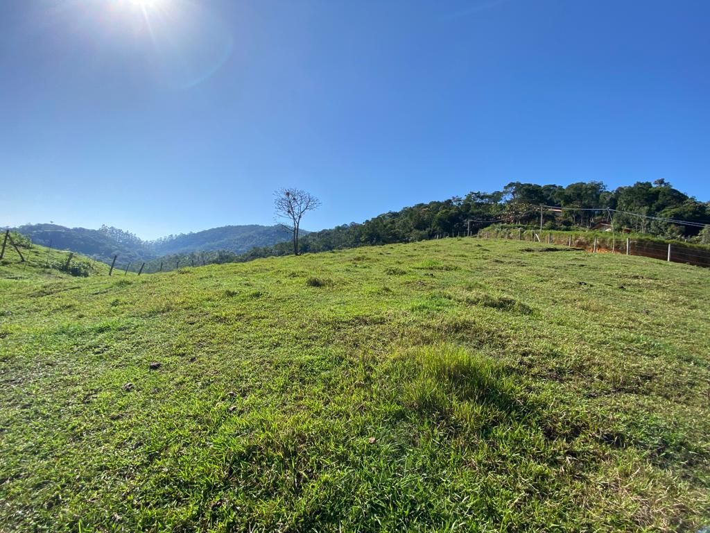 Terreno à venda no Cedro Alto: 