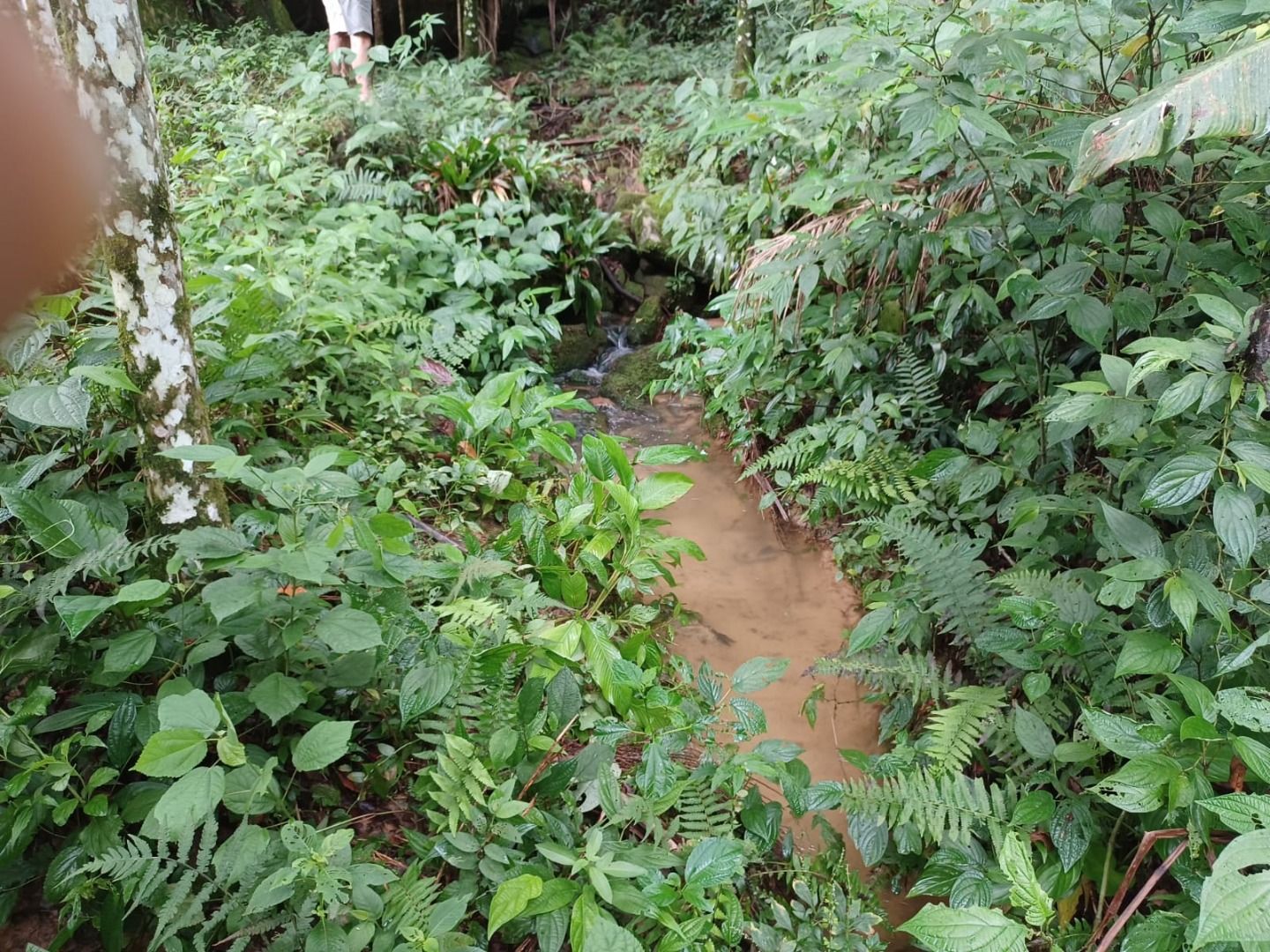 Terreno à venda no Centro: 