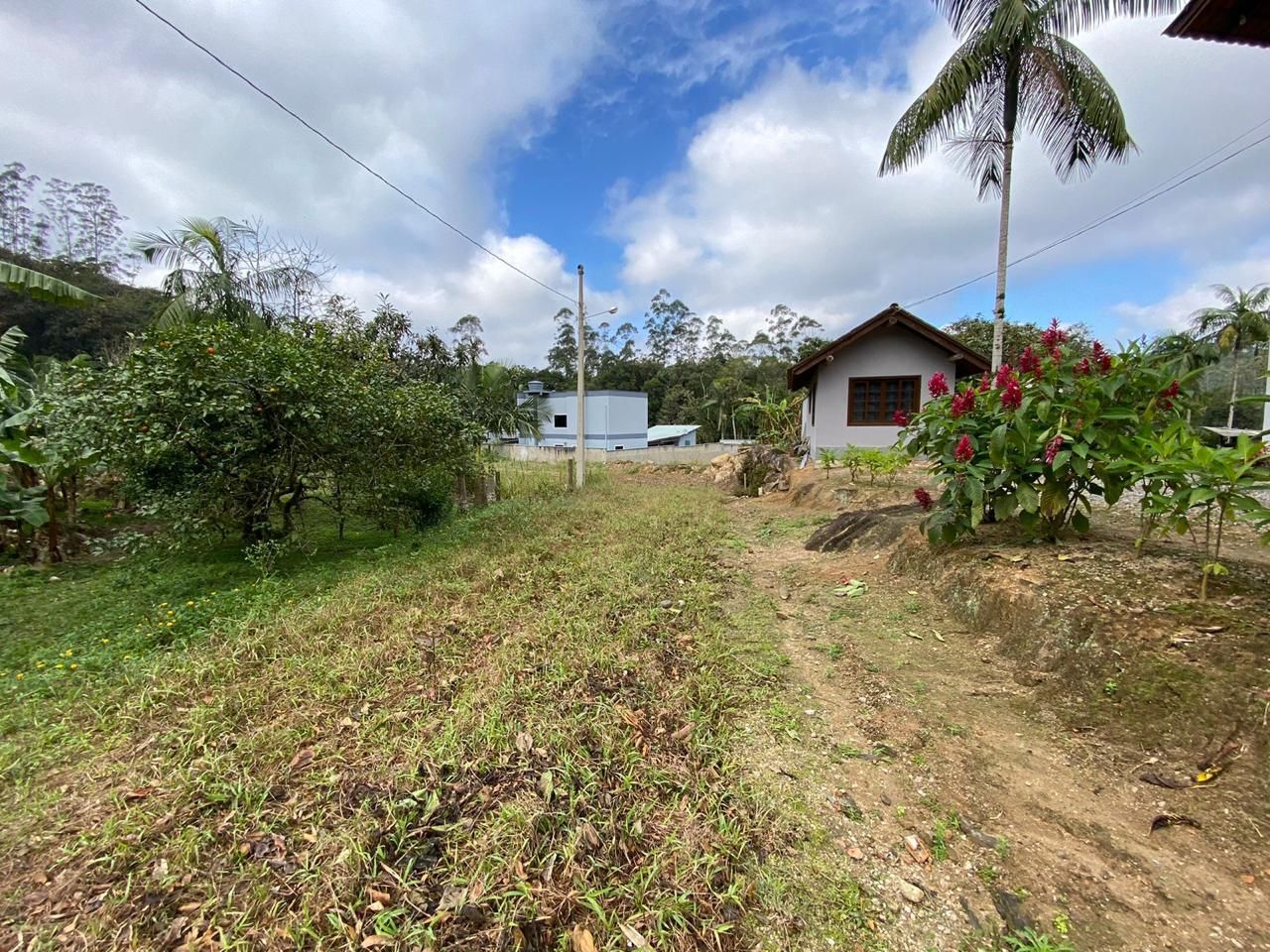 Terreno à venda no São Pedro: 