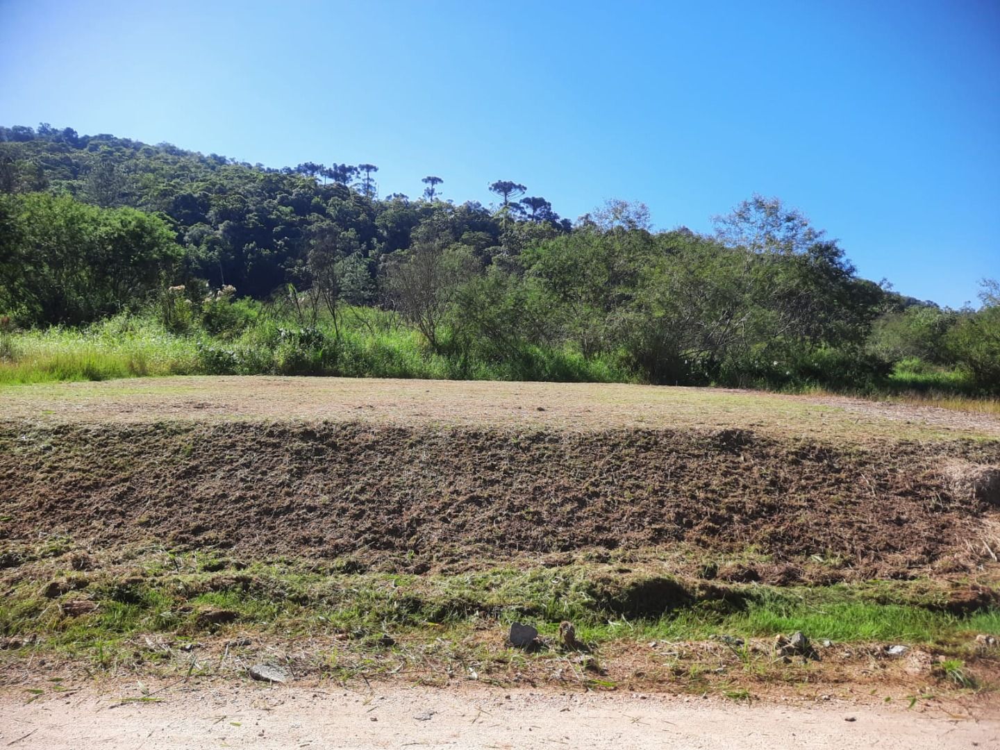 Terreno à venda no Centro 1: 