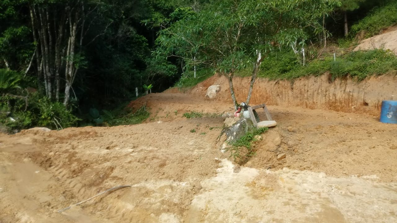 Terreno à venda no Cedro Alto: 