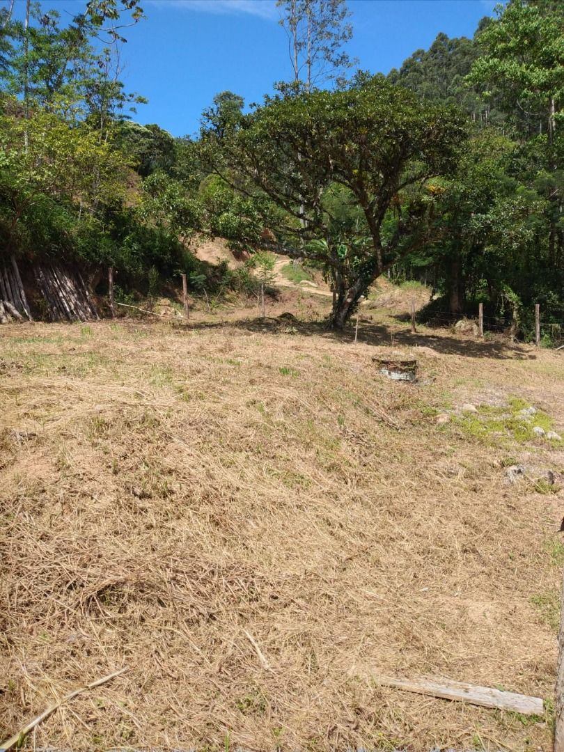 Terreno à venda no Cedro Alto: 