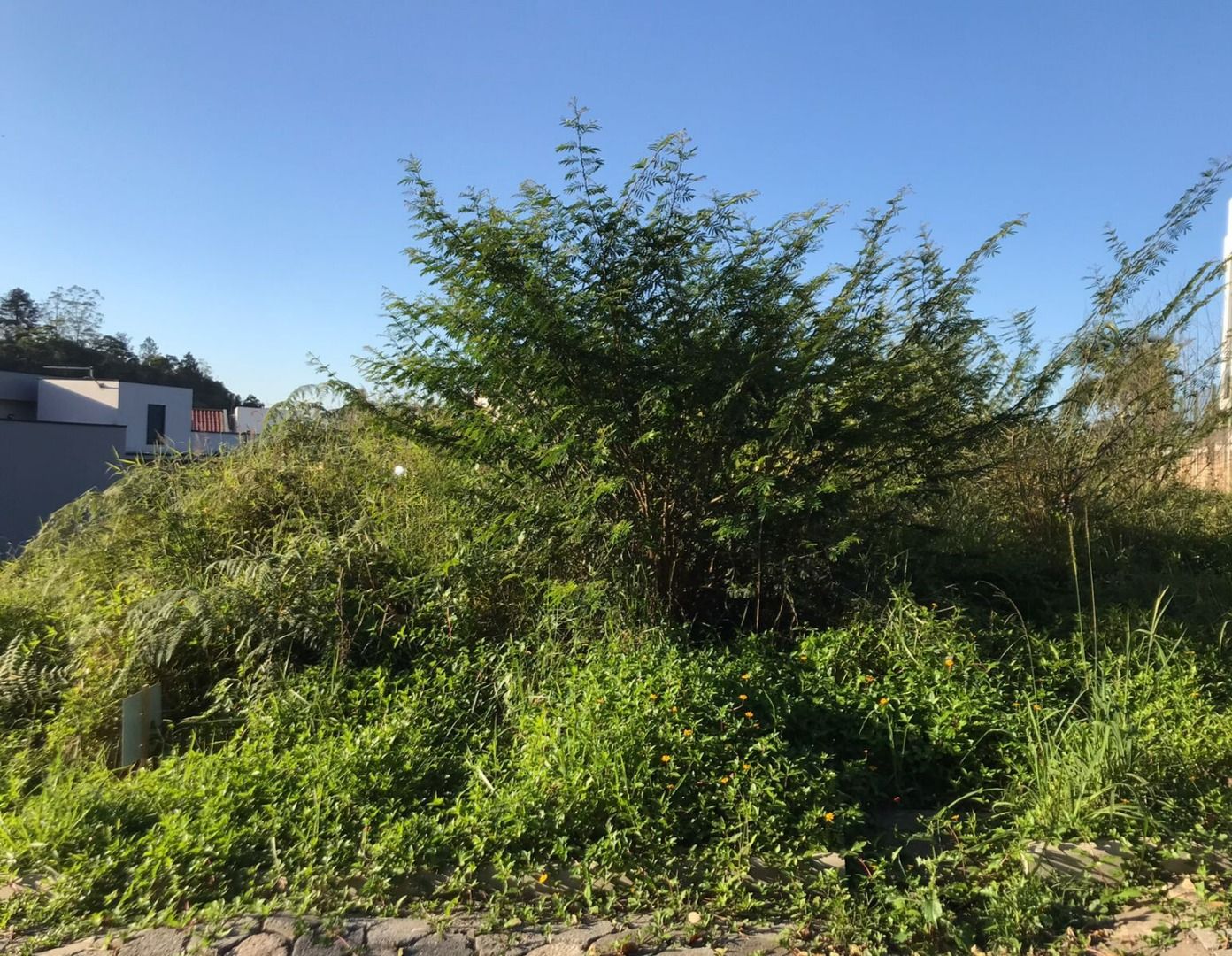 Terreno à venda no Primeiro de Maio: 