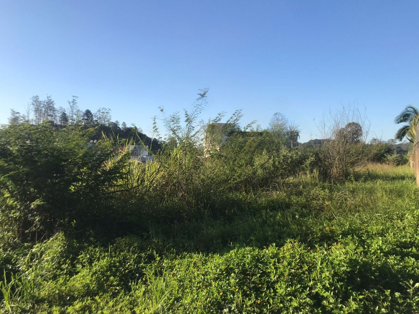 Terreno à venda no Primeiro de Maio: 