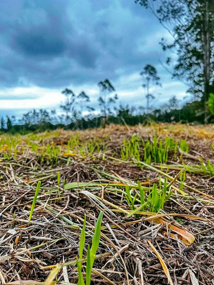 Terreno à venda no Centro: 