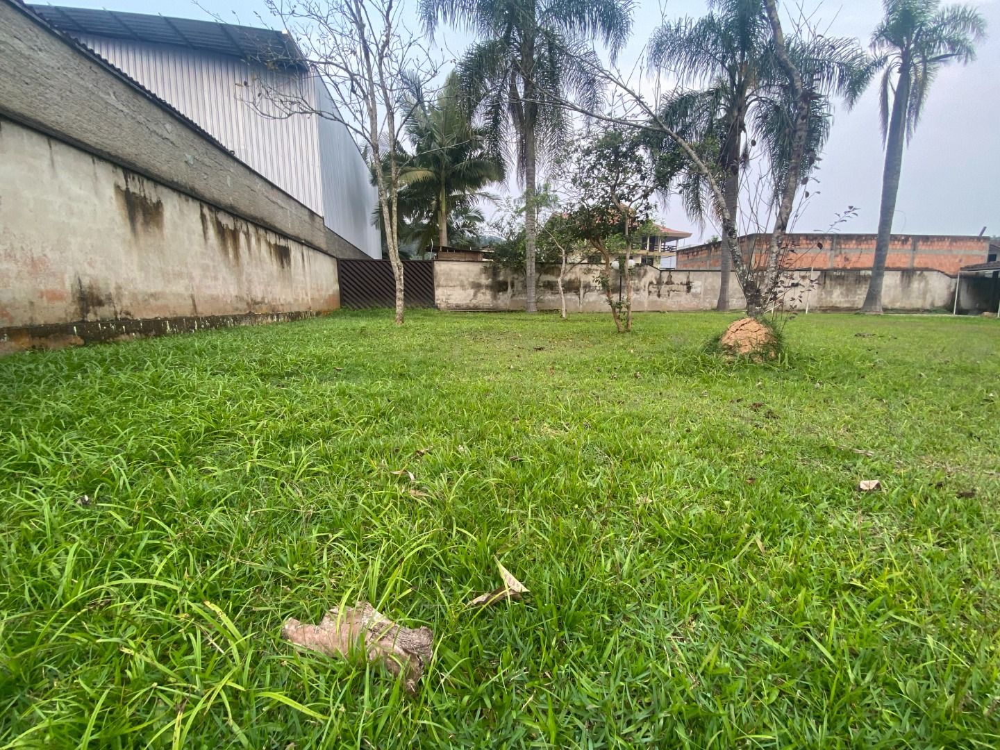 Terreno à venda no São Pedro: 