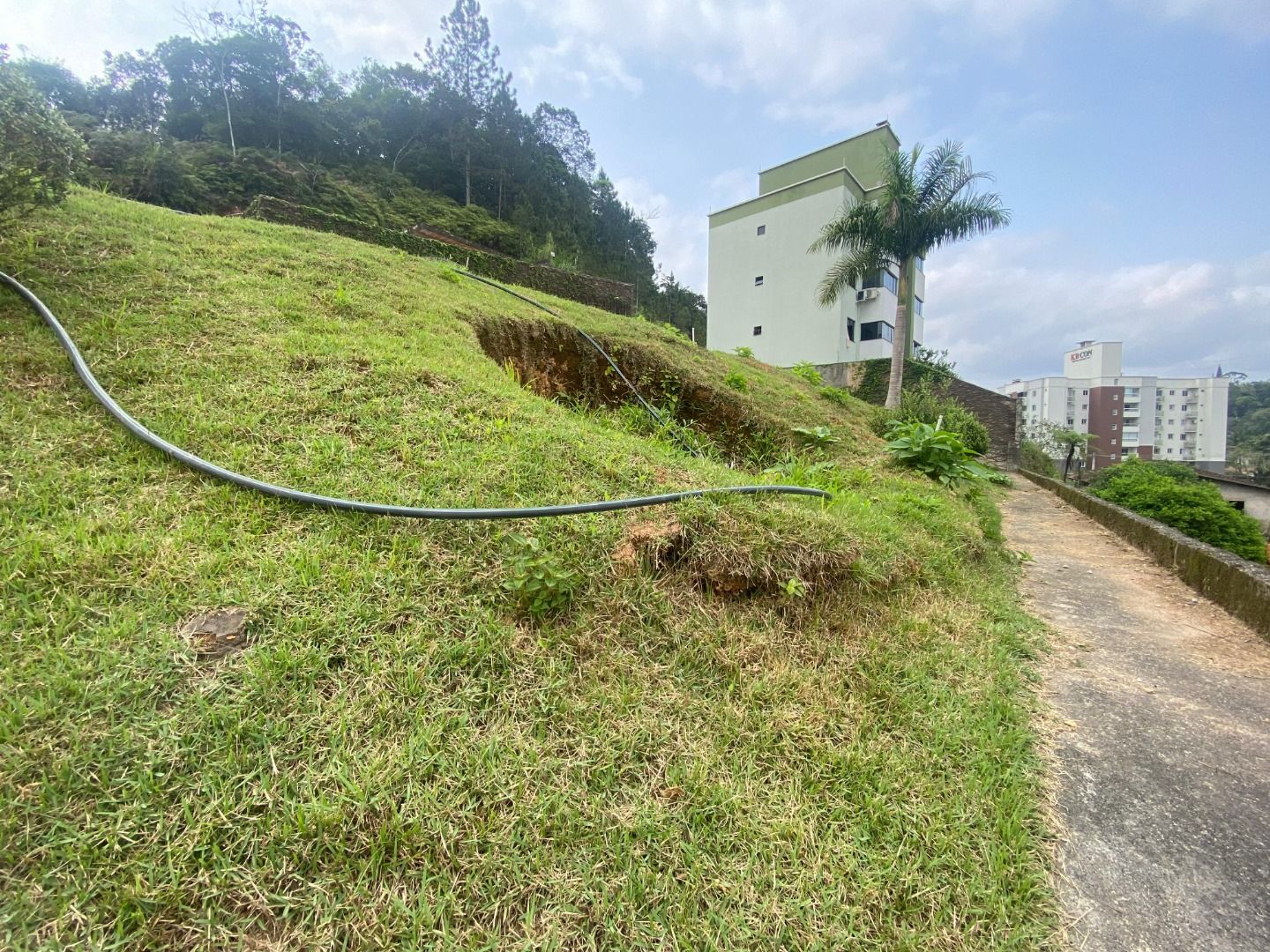 Terreno à venda no Steffen: 