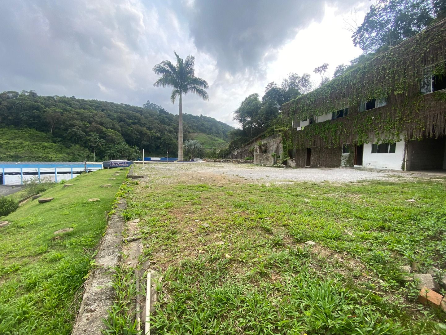 Terreno à venda no Steffen: 