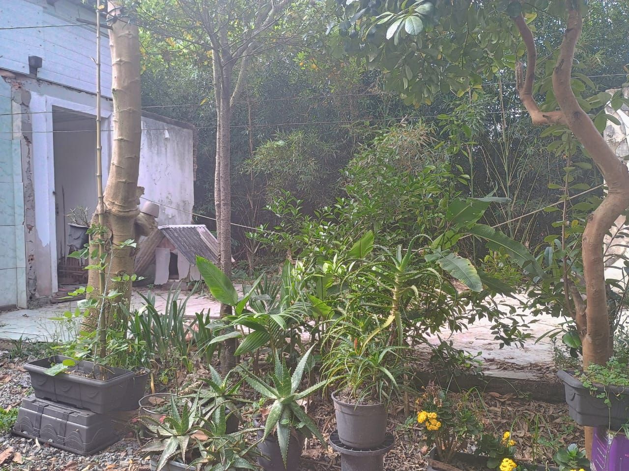 Terreno à venda no Nova Brasília: 