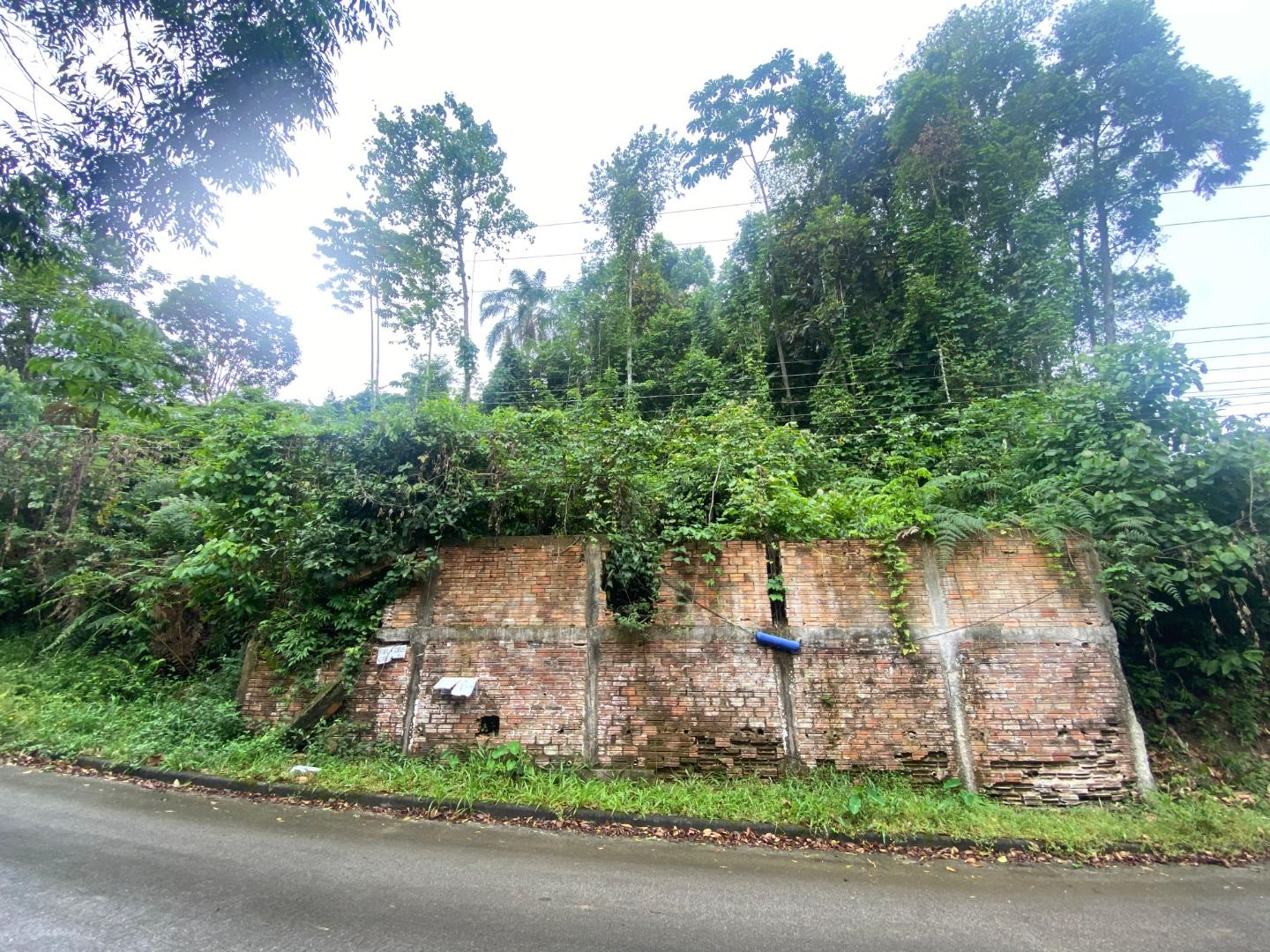 Terreno à venda no Souza Cruz: 