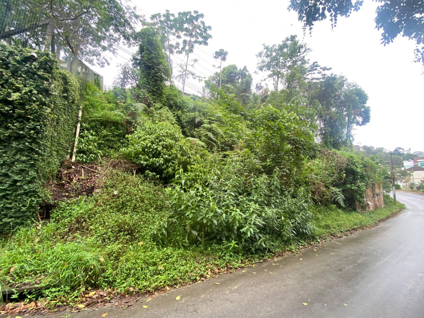 Terreno à venda no Souza Cruz: 