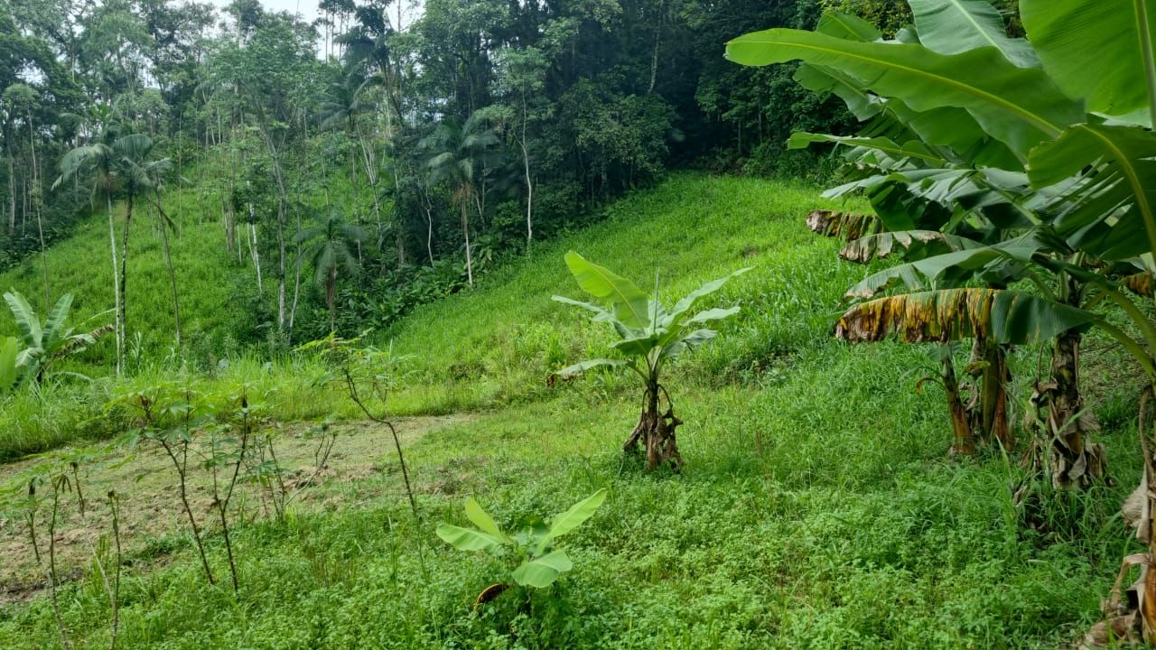 Terreno à venda no São Pedro: 