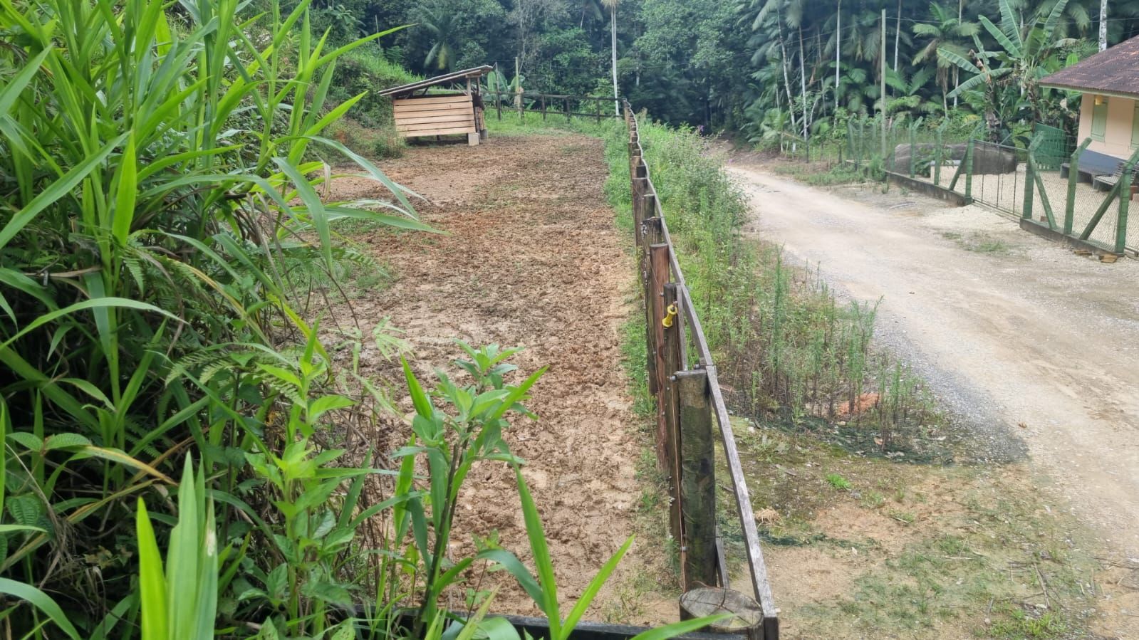 Terreno à venda no São Pedro: 