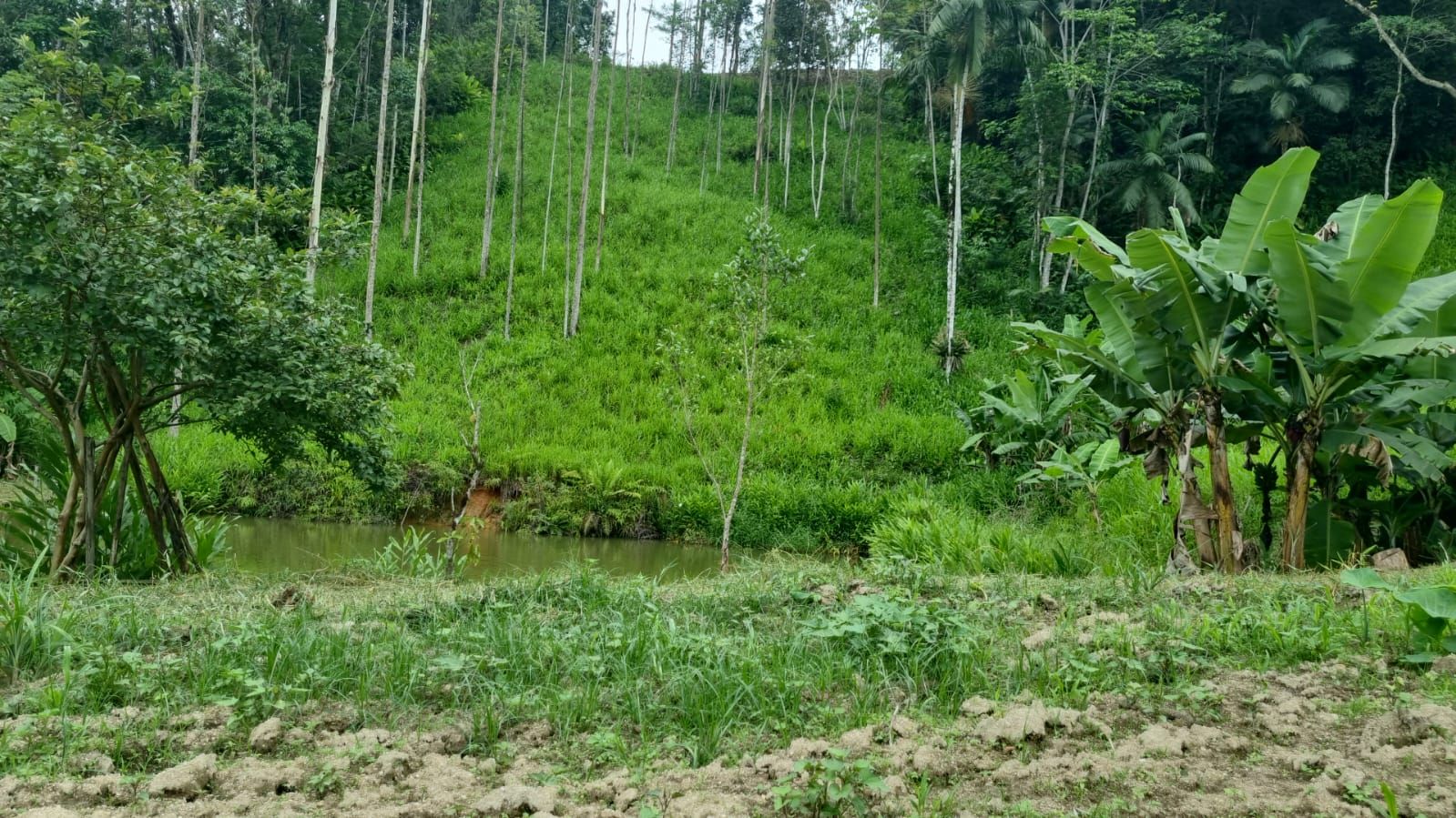 Terreno à venda no São Pedro: 