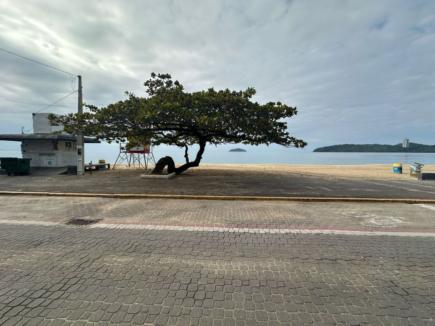 Terreno à venda no Centro: 