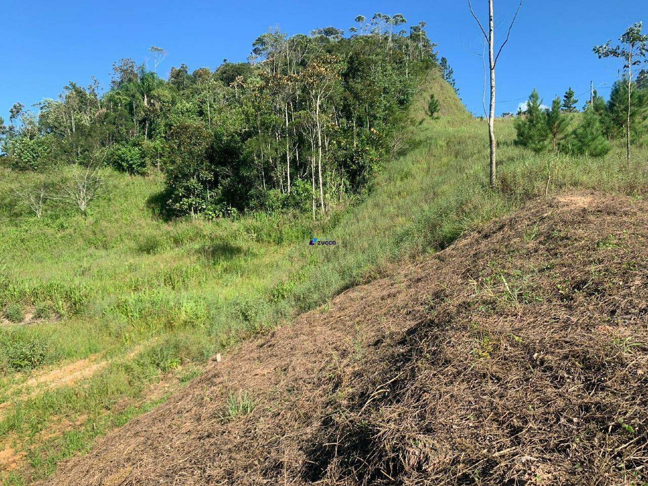 Terreno à venda no Aimore: 