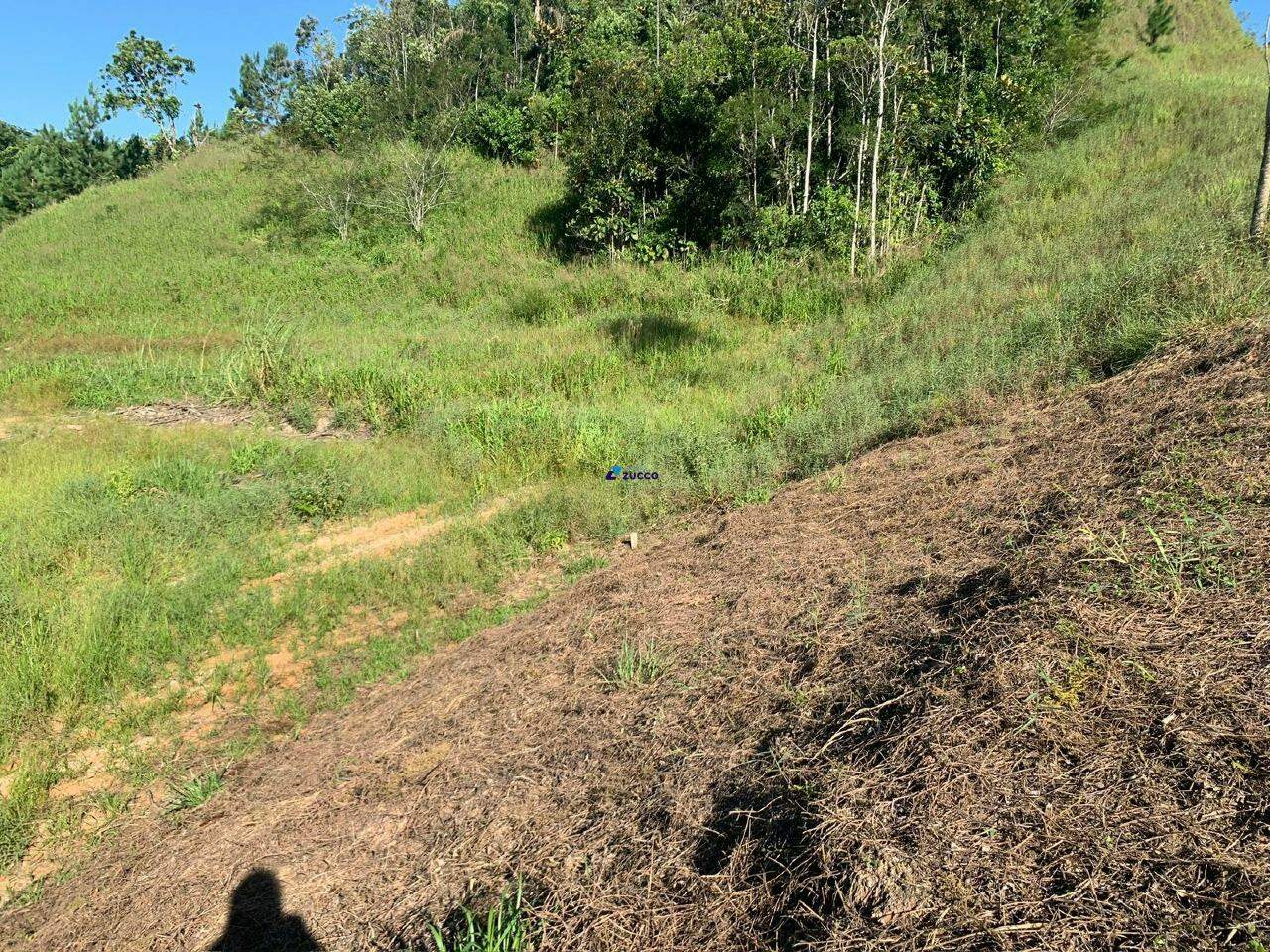 Terreno à venda no Aimore: 