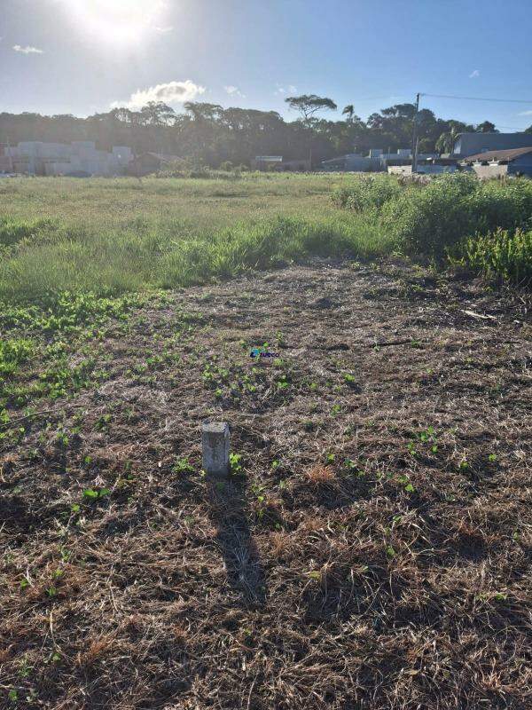 Terreno à venda no Nova Barra Velha: 