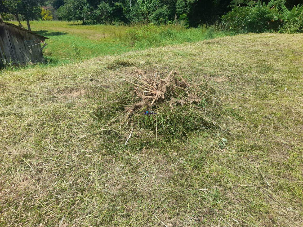 Terreno à venda no Santa Luzia: 