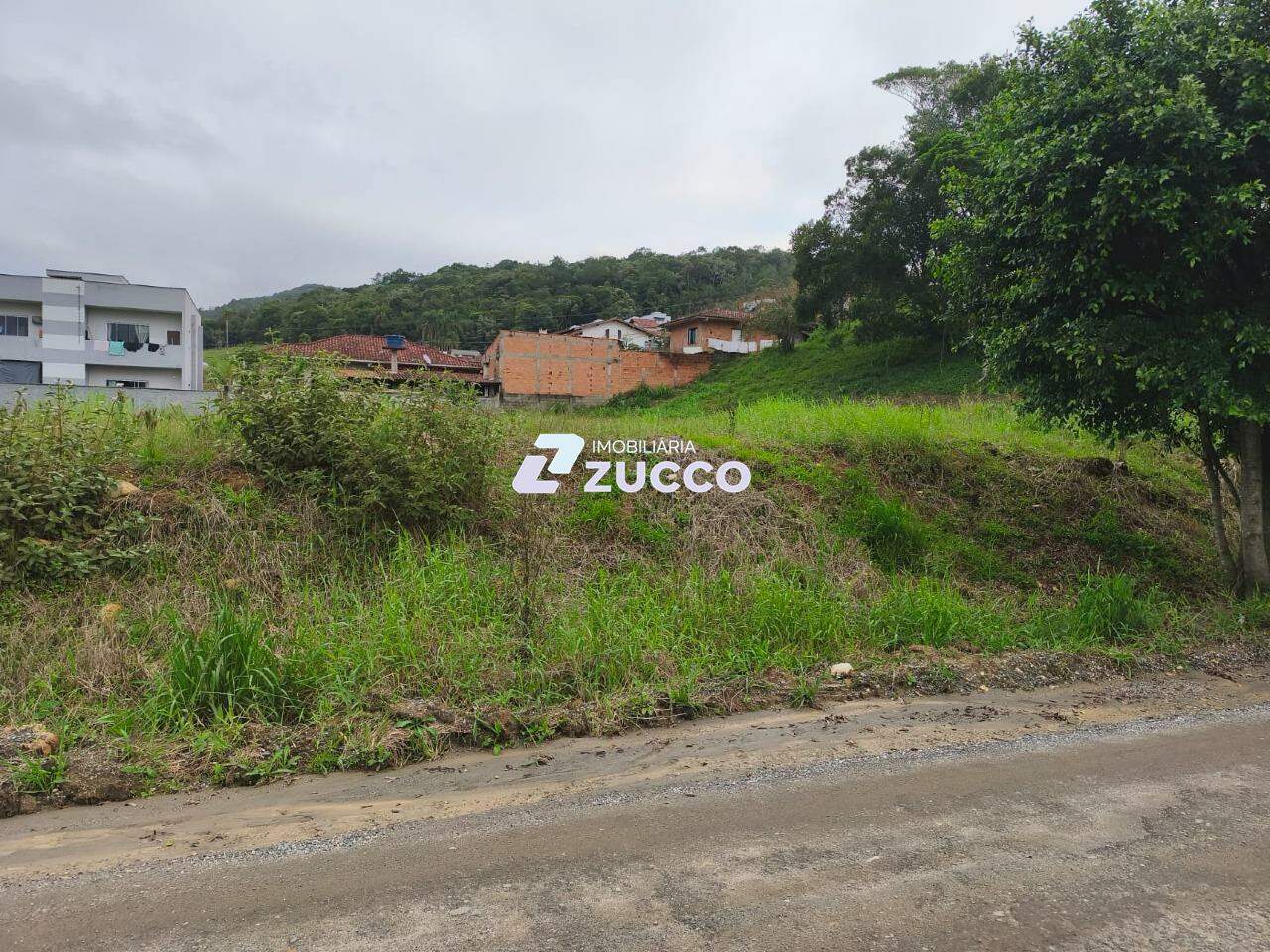 Terreno à venda no Limoeiro: 