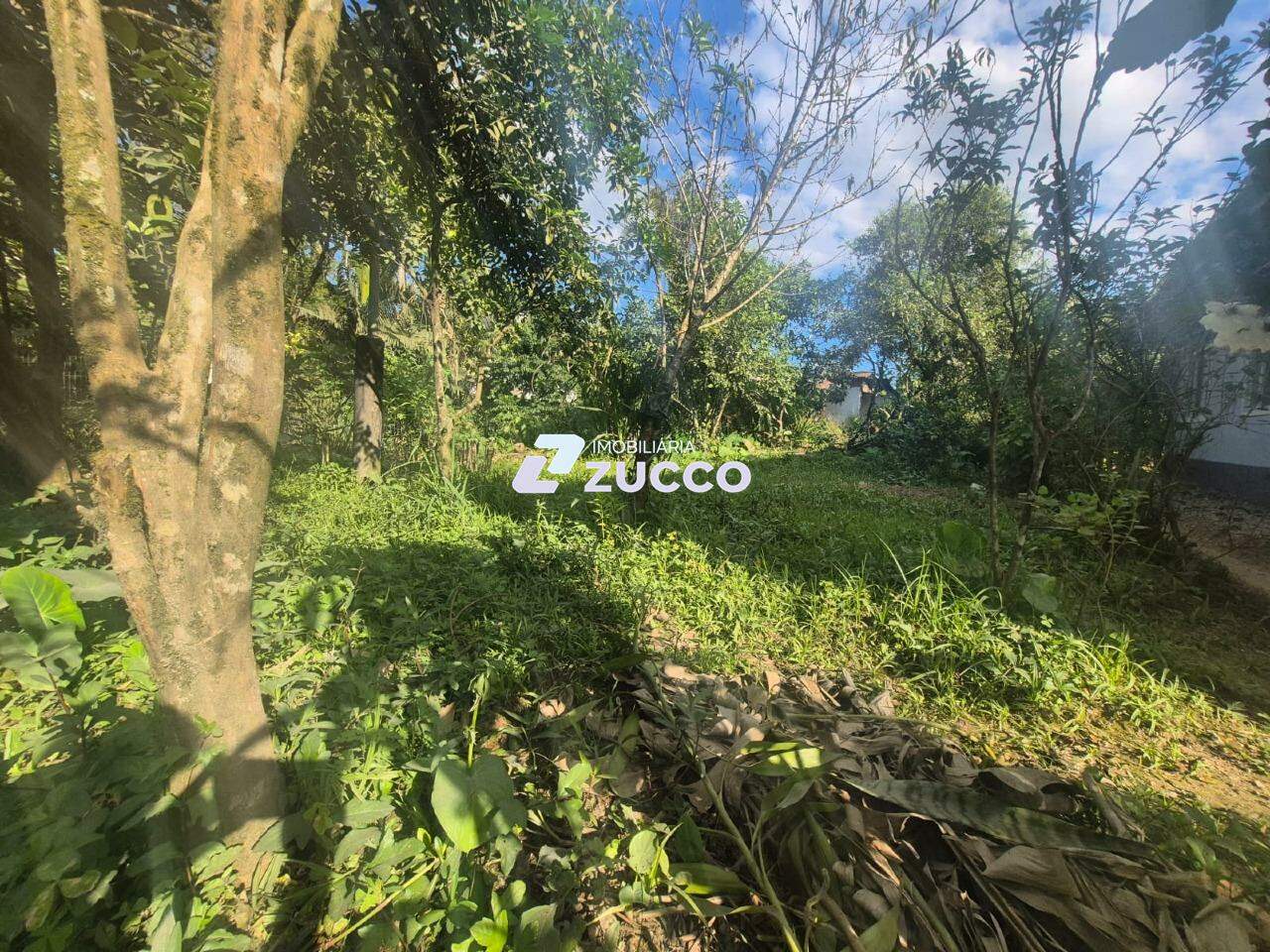 Casa à venda no Limeira Baixa: 