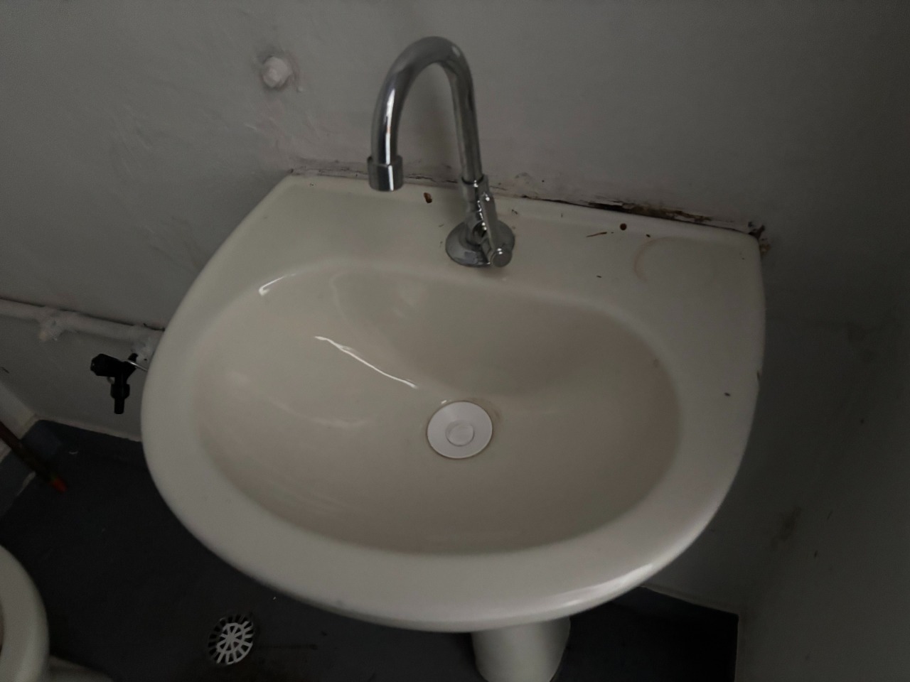 COMERCIAL para aluguel no Nossa Senhora da Abadia: 